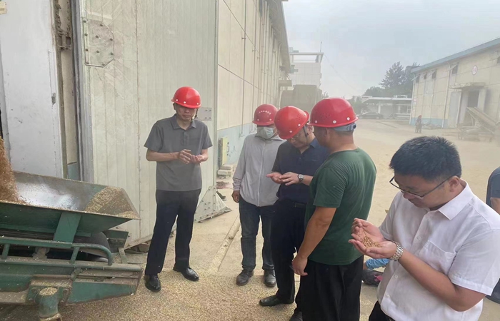 局黨組書記、局長(zhǎng)蔣超督導(dǎo)省市級(jí)儲(chǔ)備糧收購(gòu)、項(xiàng)目建設(shè)工作