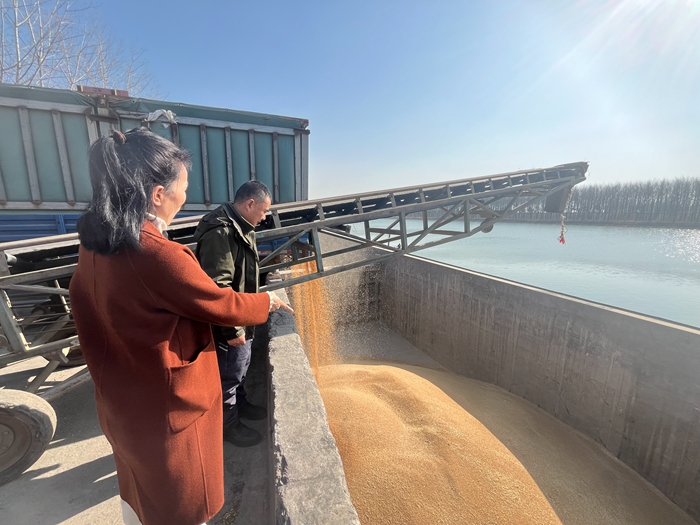 “黨建領航，守護糧安”淮糧集團開展特色品牌黨建活動